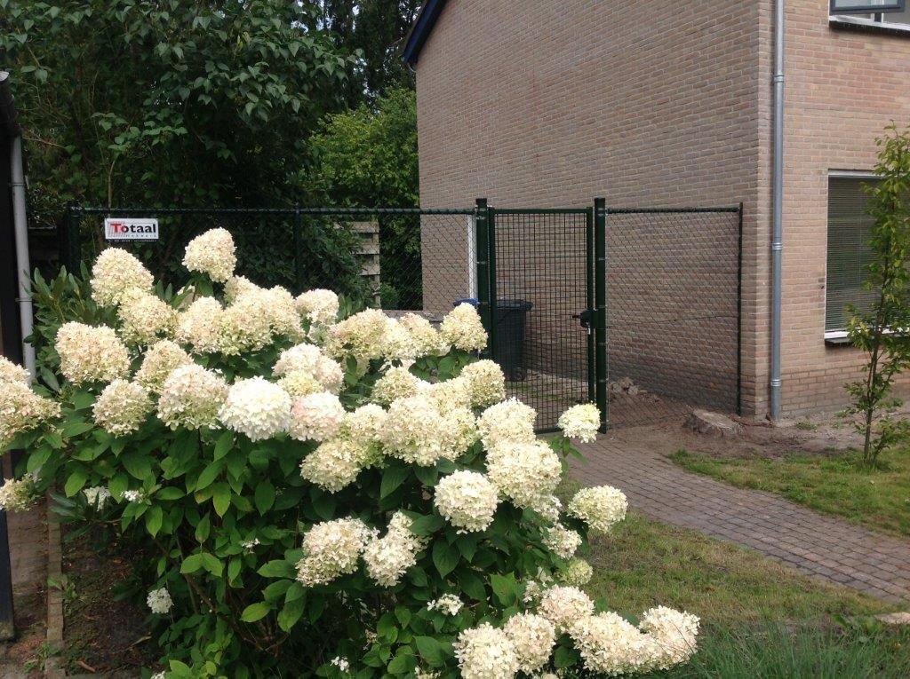 Tuinpoort bloemen